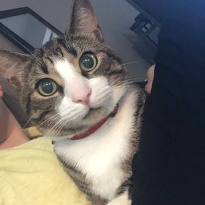 Meet your Posher, Meghan